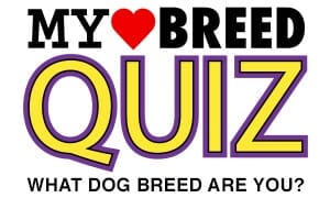 dog breed quiz