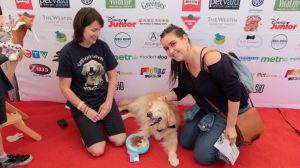 Catching up with Smiley at Woofstock