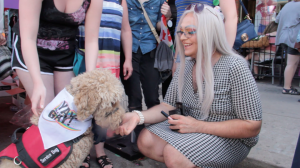 Adorable dog in 'YAY GAY' bandana at pride toronto