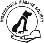 image_ssl