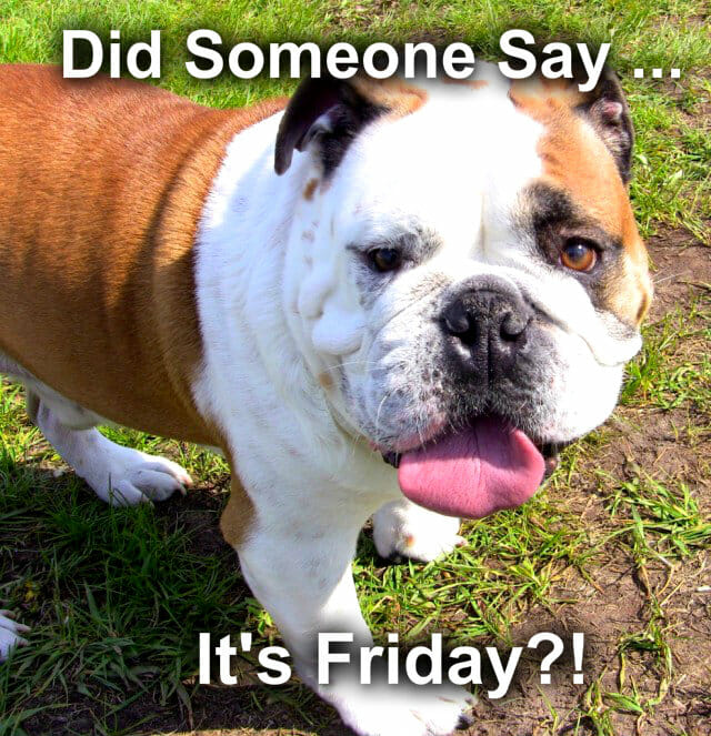 It's Friday! - Talent Hounds