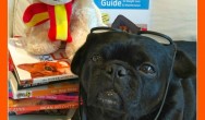 kilo the pug poses with books