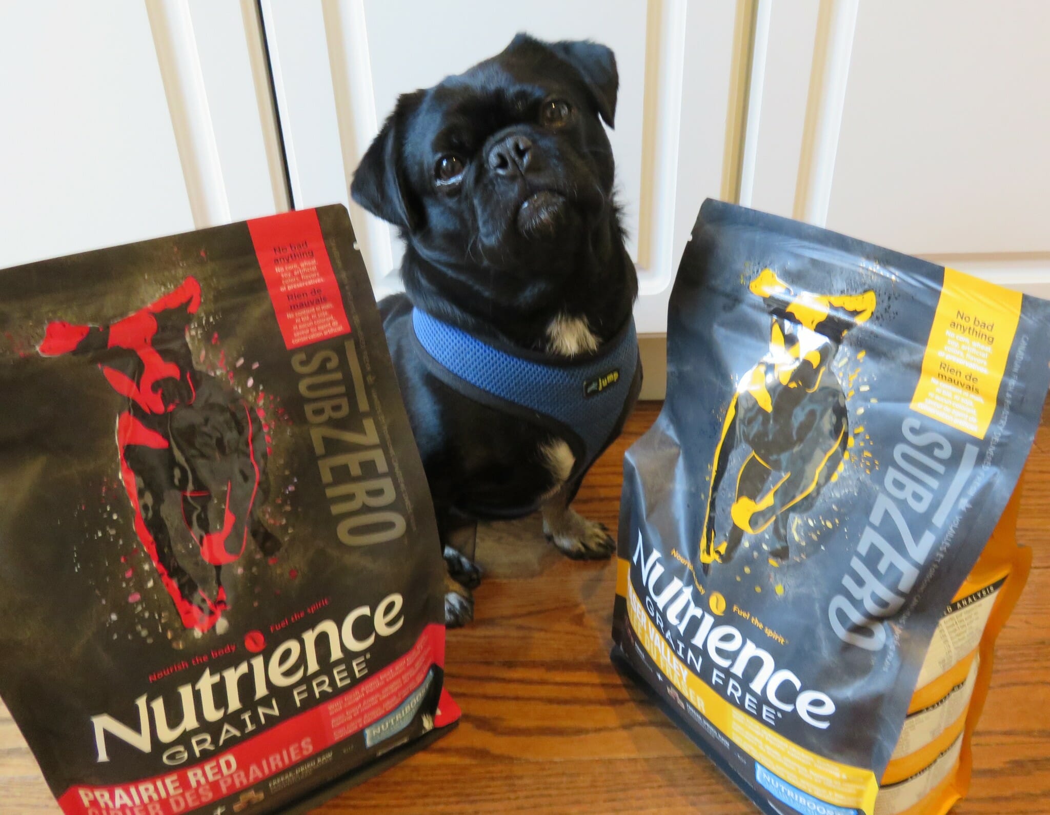 Nutrience dog clearance food petsmart