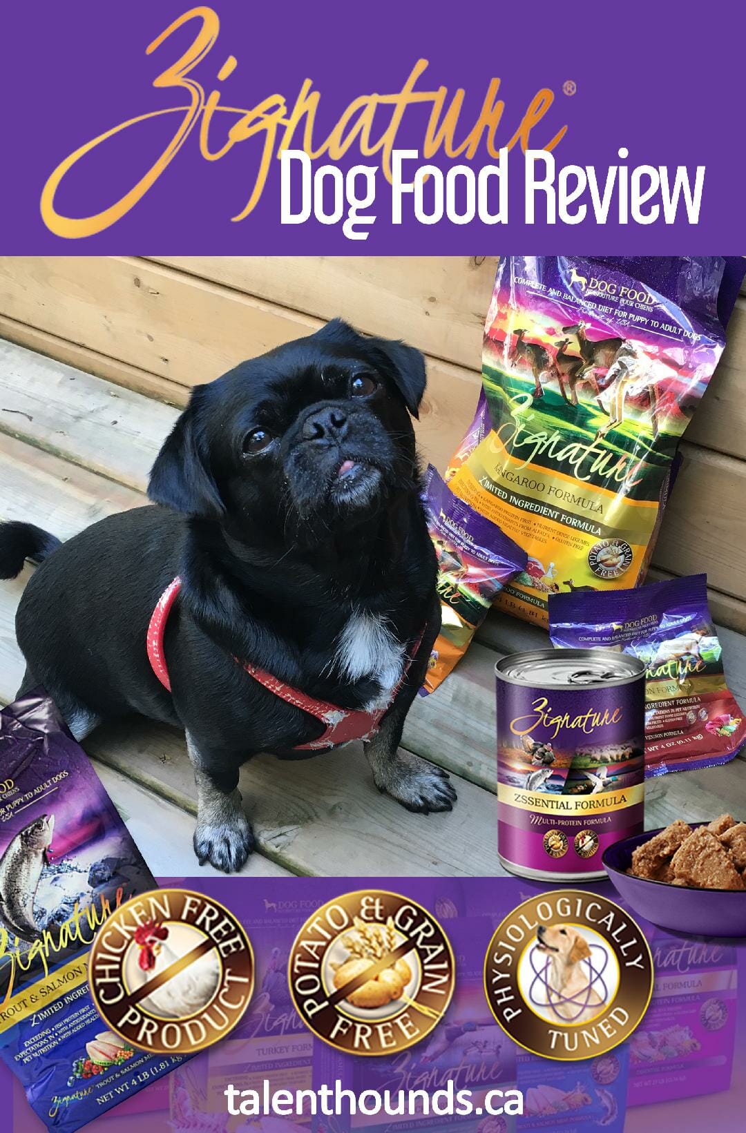 What Makes Zignature Dog Food Unique? Talent Hounds