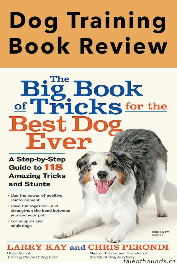 Larry Kay Big Book of Tricks for the Best Dog Ever Review - Talent Hounds