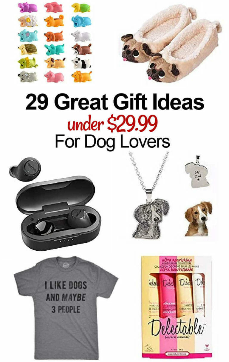 $25 Amazon Gift Card GIVEAWAY + 29 Great Gift Ideas Under $29.99 For ...